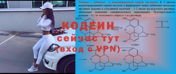 молекула духа Белокуриха