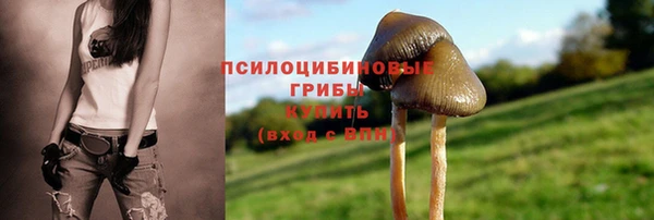 спайс Белоозёрский