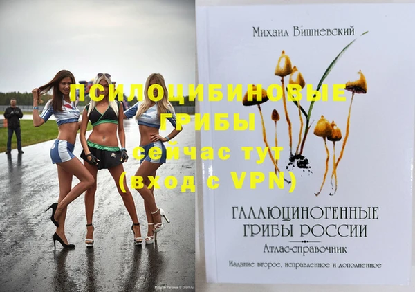 молекула духа Белокуриха