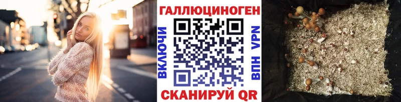 Псилоцибиновые грибы мухоморы  как найти закладки  Железноводск 